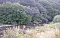 Camping Casa Rustica Ciucea: Camp, Campingplatz in Ciucea - Campings. HIER.
