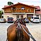 Accommodatie in HIPPOCLUB Lednice, Tsjechië