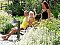 Accommodatie Pension Taubinger Hof Untergriesbach: Accommodatie in pensioenen Untergriesbach - Pensioenen