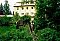 Accommodatie Pension Gästehaus Mildenau