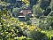 Accommodatie Pension Moosbach Nordrach