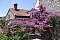 Rustieke Villa *** Sutivan: Accommodatie in pensioenen Sutivan - Pensioenen