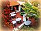 Pensioen Venuse accommodatie: Accommodatie in pensioenen Moravské Budějovice - Pensioenen