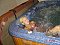 Hotel accommodatie Trebic: Accommodatie in hotels Trebic - Hotels